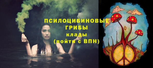 стафф Абаза
