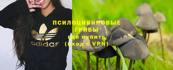 твердый Навашино