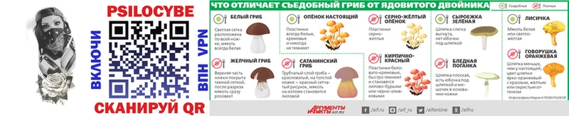 Псилоцибиновые грибы GOLDEN TEACHER  купить наркоту  Саратов 